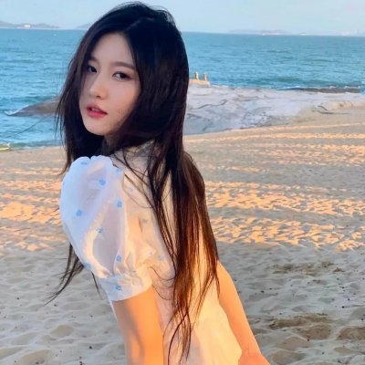 摄影师贝尔蒂与海豚零距离